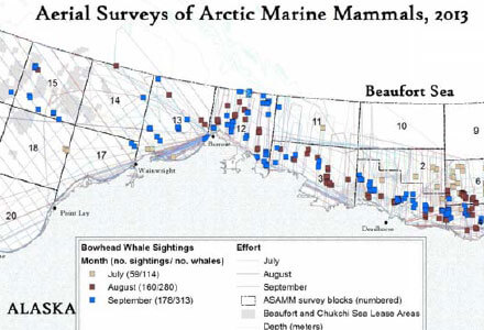 ASAMM-Chukchi-Flight0-30October-2013