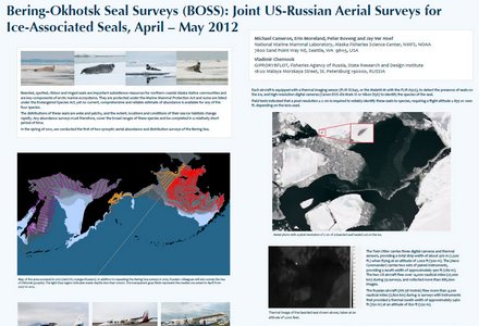 Bering okhotsk seal surveys