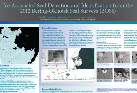 Ice associated seal detection