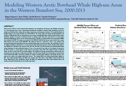 Modeling arctic bowhead