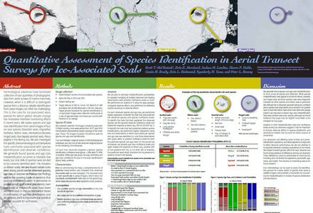 Quantitative assessment ice seal